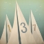 Picture of SAILS VII