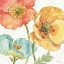 Picture of SPRING SOFTIES III