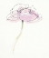 Picture of SINGLE PINK SOMNIFERUMS II ON WHITE