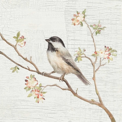 Picture of BLACK CAPPED CHICKADEE VINTAGE
