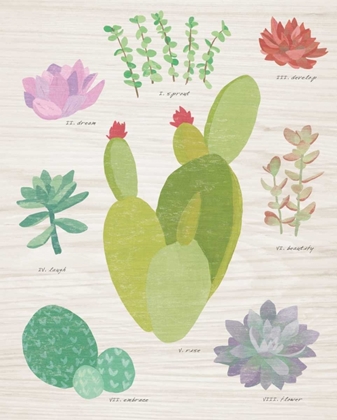 Picture of SUCCULENT CHART III ON WOOD