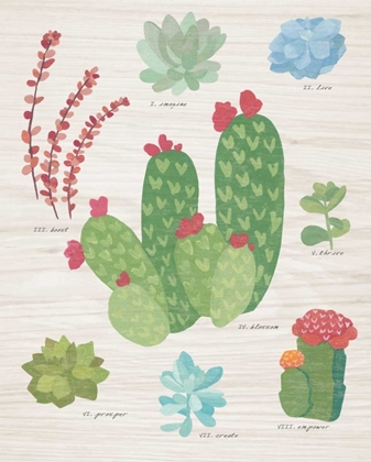 Picture of SUCCULENT CHART IV ON WOOD