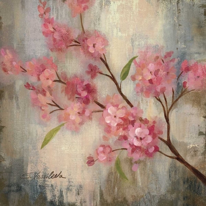 Picture of CHERRY BLOSSOM II