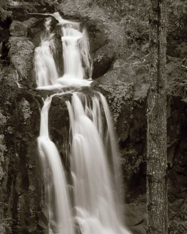 Picture of KENTUCKY FALLS