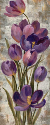 Picture of ROYAL PURPLE TULIPS I