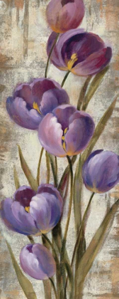 Picture of ROYAL PURPLE TULIPS II