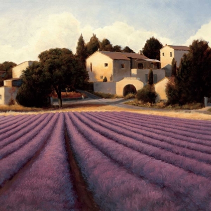 Picture of LAVENDER FIELDS I