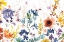 Picture of COLORS OF THE GARDEN