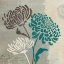 Picture of CHRYSANTHEMUMS II