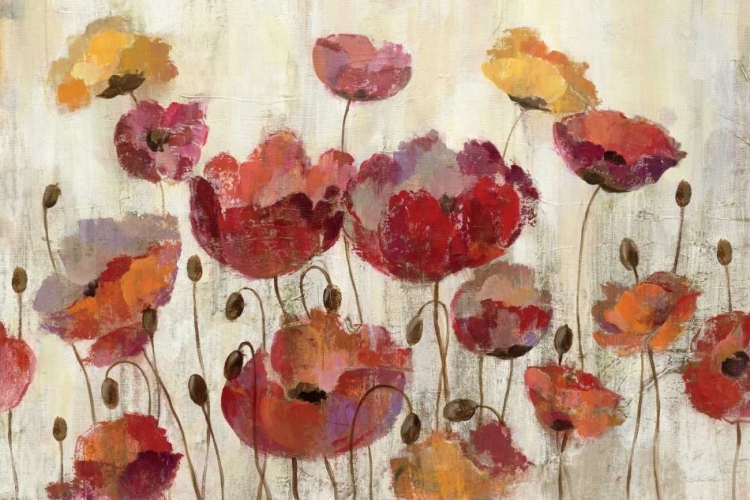 Picture of POPPIES IN THE RAIN