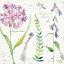 Picture of SOFT NATURE III