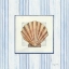 Picture of SANIBEL SHELL I