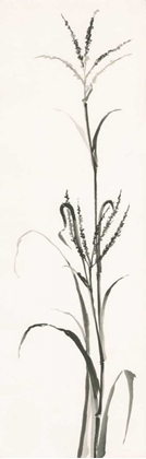Picture of GRAY GRASSES IV