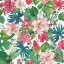 Picture of TROPICAL DREAM BRIGHT ON WHITE
