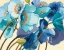 Picture of LE PAVOTS BLEU