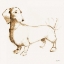Picture of CLIO BROWN AND ORANGE