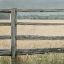 Picture of NEUTRAL COUNTRY I CROP 