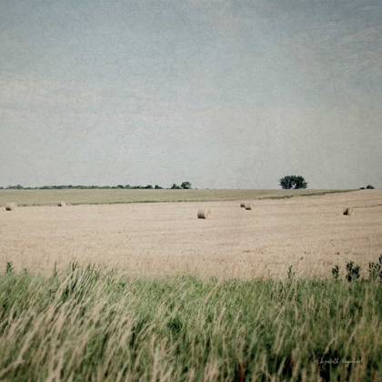 Picture of NEUTRAL COUNTRY II CROP 
