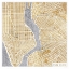 Picture of GILDED NEW YORK  MAP