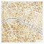 Picture of GILDED PARIS MAP