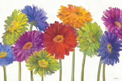 Picture of COLORFUL GERBERA DAISIES