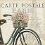 Picture of PARIS RIDE I