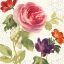 Picture of WATERCOLOR FLORAL IV