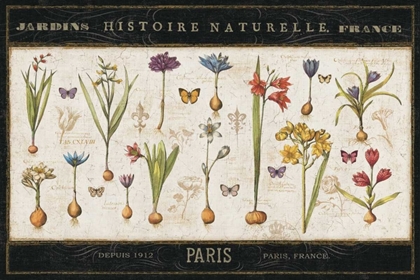 Picture of HISTOIRE NATURELLE I