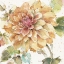 Picture of COUNTRY BLOOM V