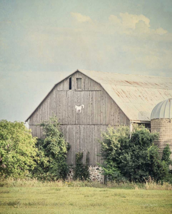 Picture of LATE SUMMER BARN II CROP