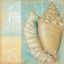 Picture of SOFT BEACH QUOTE II