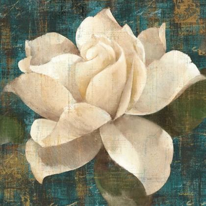Picture of GARDENIA BLOSSOM TURQUOISE