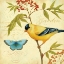 Picture of GARDEN PASSION II