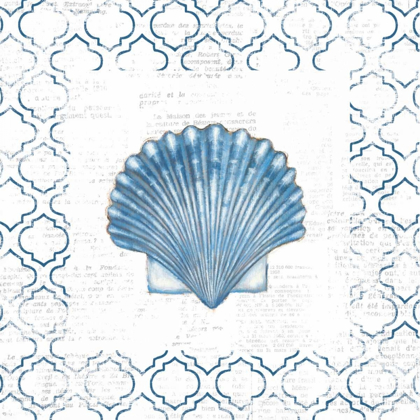 Picture of NAVY SCALLOP SHELL ON NEWSPRINT