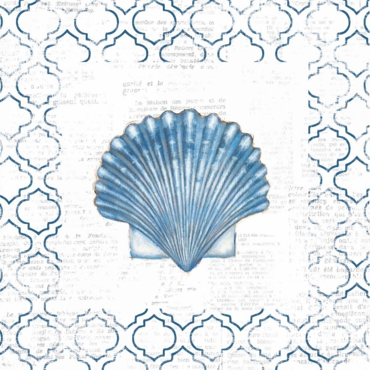 Picture of NAVY SCALLOP SHELL ON NEWSPRINT