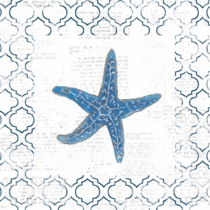 Picture of NAVY STARFISH ON NEWSPRINT