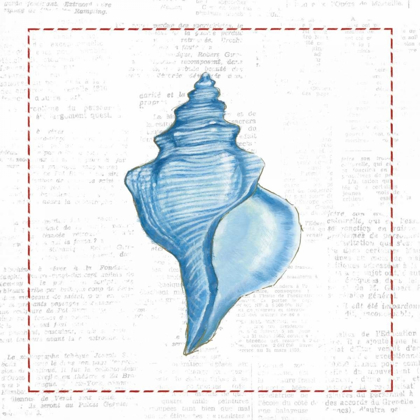 Picture of NAVY CONCH SHELL ON NEWSPRINT WITH RED