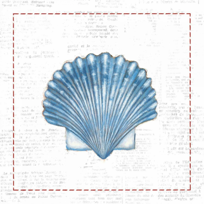 Picture of NAVY SCALLOP SHELL ON NEWSPRINT WITH RED