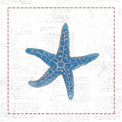Picture of NAVY STARFISH ON NEWSPRINT WITH RED