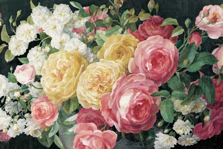 Picture of ANTIQUE ROSES ON BLACK CROP
