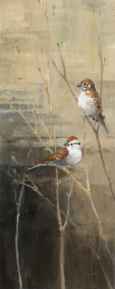 Picture of SPARROWS AT DUSK II