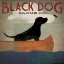 Picture of BLACK DOG CANOE