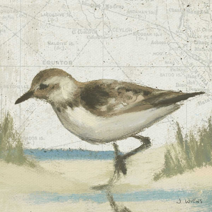 Picture of BEACH BIRD IV