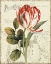 Picture of GARDEN VIEW II - RED TULIP