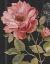 Picture of HARMONIOUS ROSE BLACK