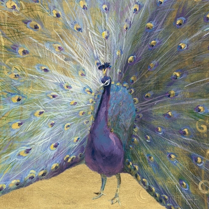 Picture of PURPLE AND GOLD PEACOCK