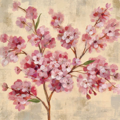 Picture of PINK CHERRY BRANCH II