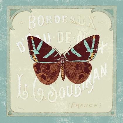 Picture of PARISIAN BUTTERFLY II