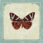 Picture of PARISIAN BUTTERFLY II
