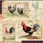 Picture of ROOSTER FARM II